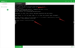 MariaDB 远程不能访问问题解决教程(10061 / 1130 / 1045)
