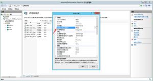 IIS 运行报错“试图加载格式不正确”处理记录