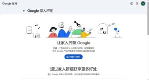 Gemini Pro 家庭共享开通全流程（一人订阅，全家上车）